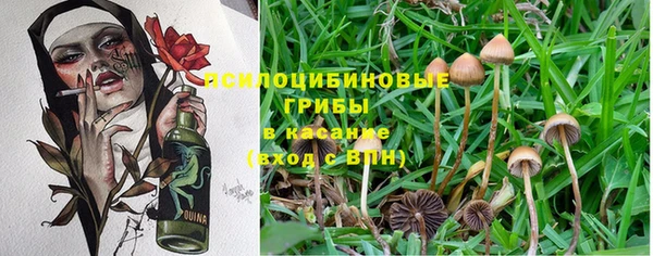 дживик Нея