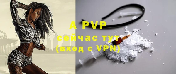 PSILOCYBIN Нефтегорск