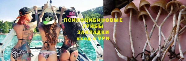 гашик Балахна
