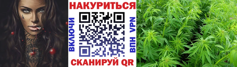 Конопля Amnesia  где купить наркоту  Сегежа 